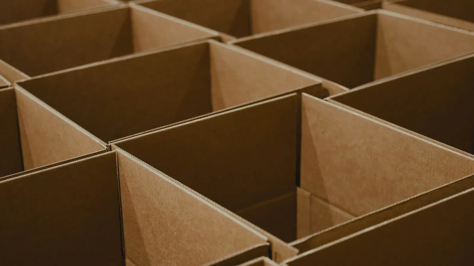 Migrace e-shopu: co se přenese, co se nepřenese a kde vznikají ztráty