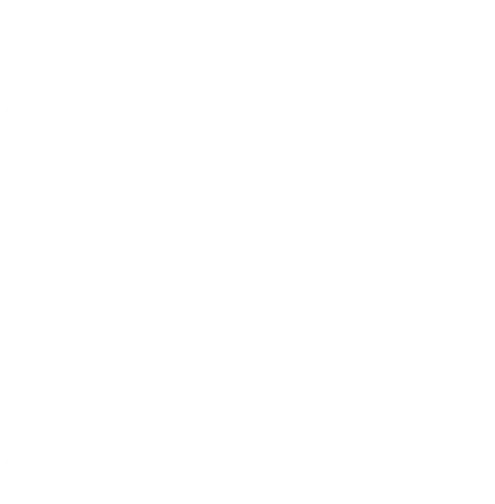 CityZen logo