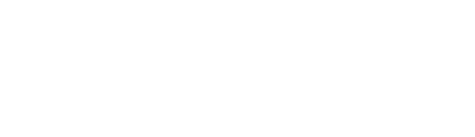 Sedooz logo